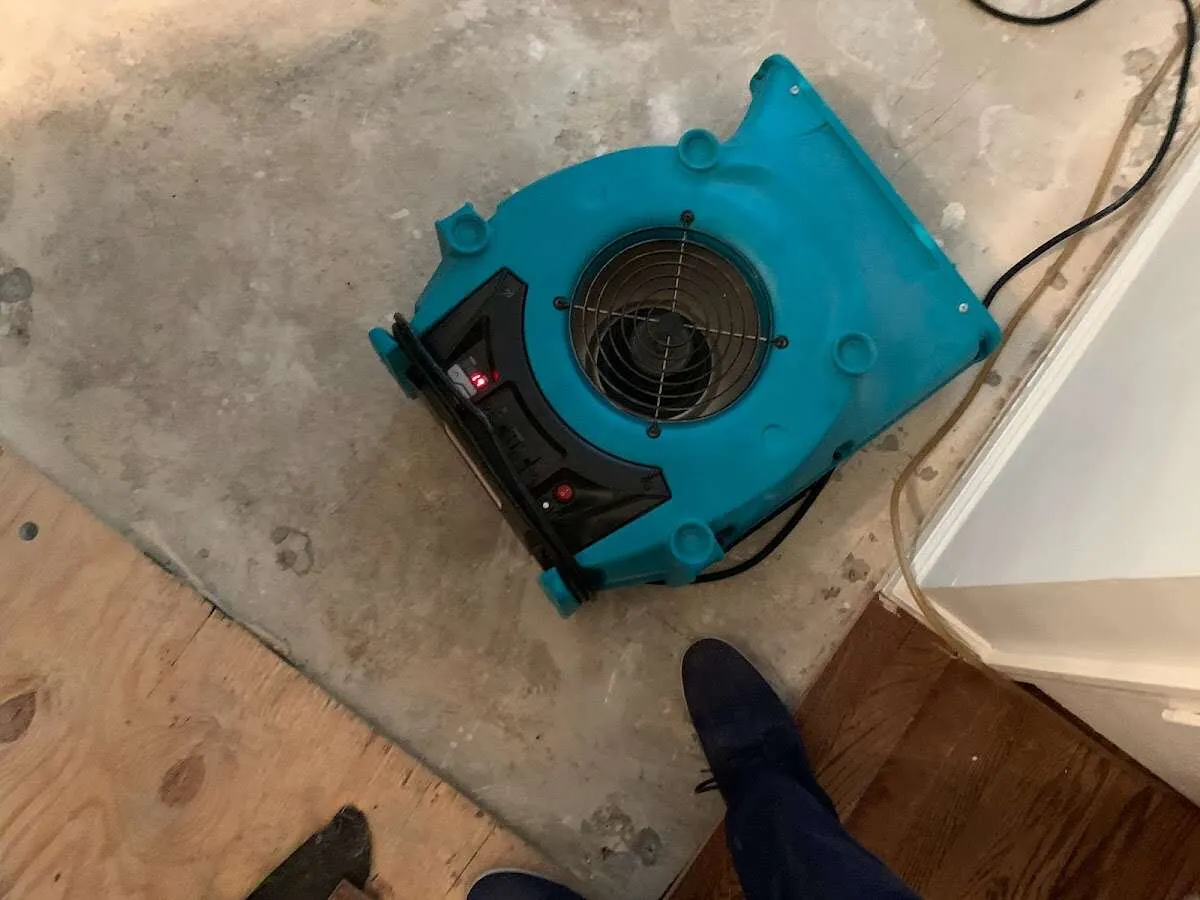 Air mover drying subfloor during Leak Detection & Repair in Millsboro