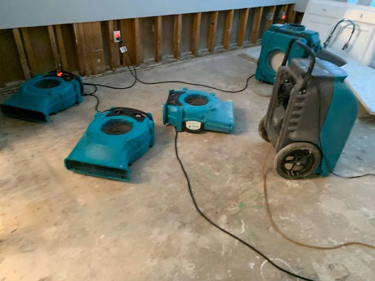 Water Damage Restoration services in Millsboro, DE